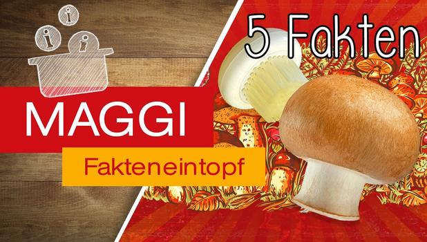 Erfahre hier alles rund um Pilz-Mythen: