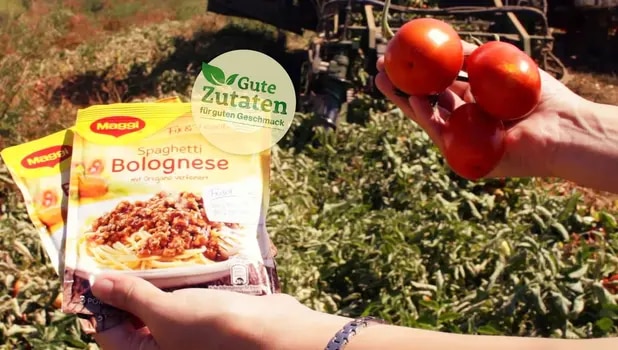 So kommen die Tomaten in die Tüte