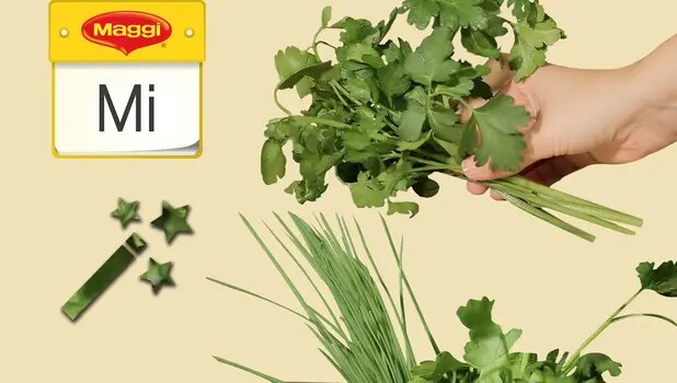 So hältst du deine Kräuter länger frisch