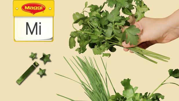 So hältst du deine Kräuter länger frisch