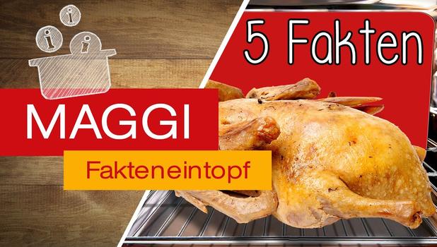Gänsebraten Zubereitungstipps | MAGGI Fakteneintopf