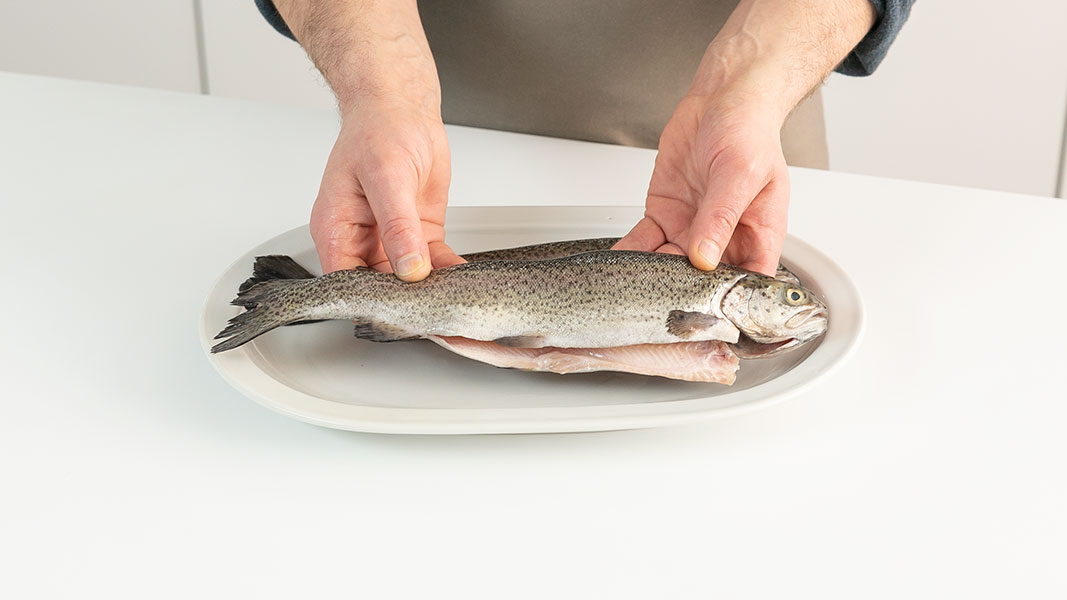 Maggi Kochratgeber frischen Fisch aufbewahren