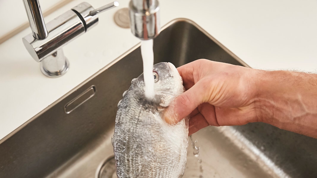 Maggi Kochratgeber frischen Fisch schuppen