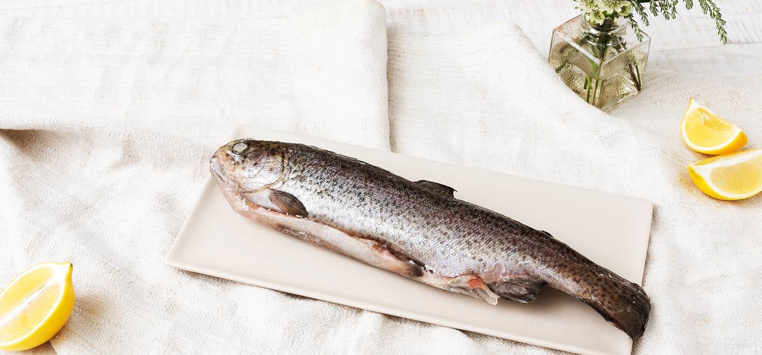 Frischen Fisch einfrieren Glacieren maggi.de